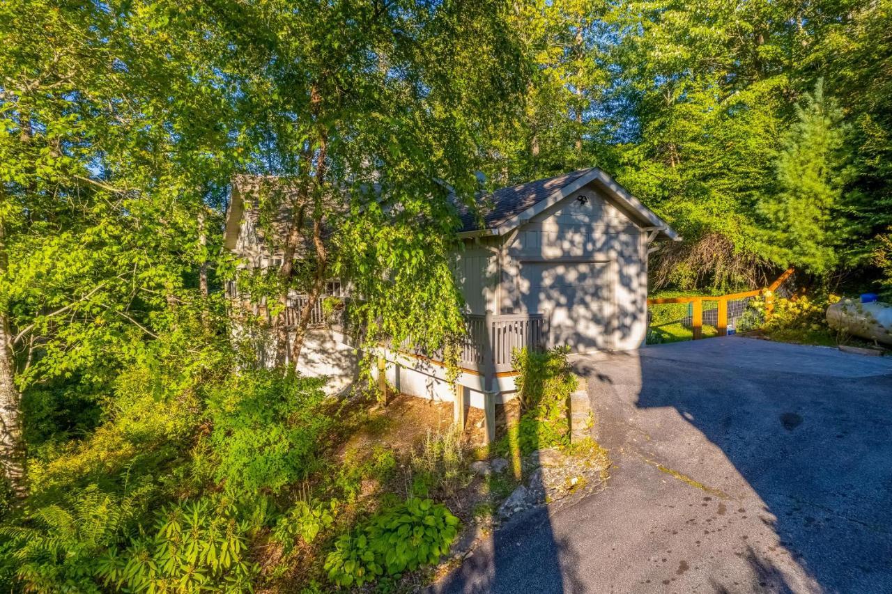 Carolina Mountain Cottage 海兰兹 外观 照片